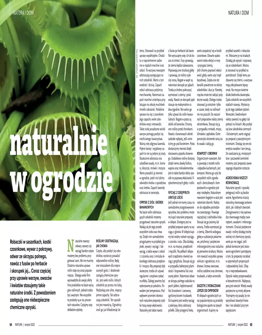 Gazetka promocyjna Drogerie Natura - Gazetka Drogerie Natura - ważna 01.08 do 31.08.2022 - strona 33 - produkty: Cebula, Dron, Grejpfrut, Groch, Gry, Koc, Kret, Lanki, Mięta, Mus, Nawóz, Piec, Półka, Por, Truskawki, Warzywa, Wino, Woreczek, Zwierzęta