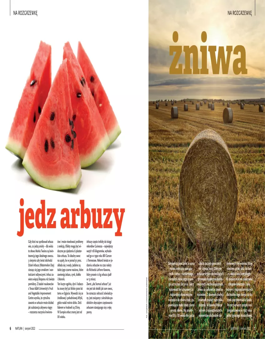 Gazetka promocyjna Drogerie Natura - Gazetka Drogerie Natura - ważna 01.08 do 31.08.2022 - strona 4 - produkty: Arbuz, Cars, Cynk, Gra, Gry, Melon, Pomidory, Por, Vegeta