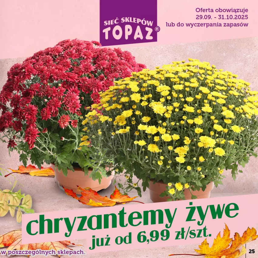 Gazetka promocyjna Topaz - Gazetka - ważna 29.09 do 31.10.2025 - strona 25