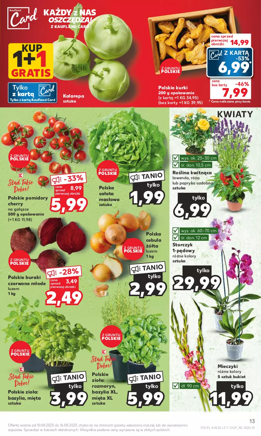 Gazetka promocyjna Kaufland - Gazetka tygodnia - ważna 10.08 do 16.08.2023 - strona 13 - produkty: Bazyl, Bazylia, Bukiet, Buraki, Cebula, Gra, Grunt, Masło, Miecz, Mięta, Papryka, Pomidory, Róża, Sałat, Sałata masłowa, Storczyk