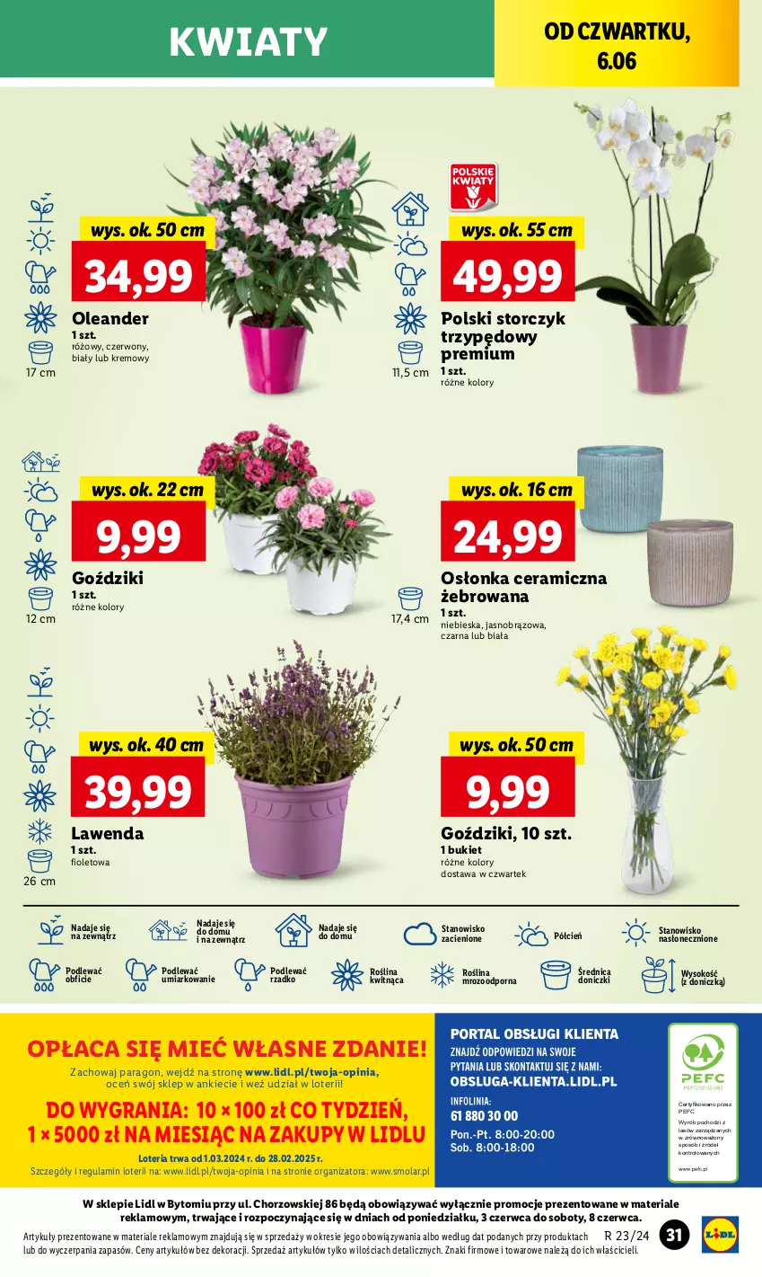 Gazetka promocyjna Lidl - GAZETKA - ważna 06.06 do 08.06.2024 - strona 43 - produkty: Bukiet, Cień, Gra, Mola, O nas, Osłonka, Por, Sok, Storczyk