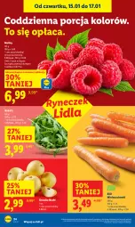 Gazetka promocyjna Lidl - GAZETKA - Gazetka - ważna od 17.01 do 17.01.2026 - strona 24 - produkty: Por, Rukola, Maliny