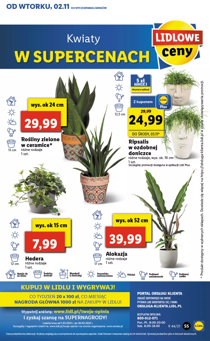 Gazetka promocyjna Lidl - GAZETKA - ważna 02.11 do 03.11.2021 - strona 55 - produkty: Gry, Mola, Sati