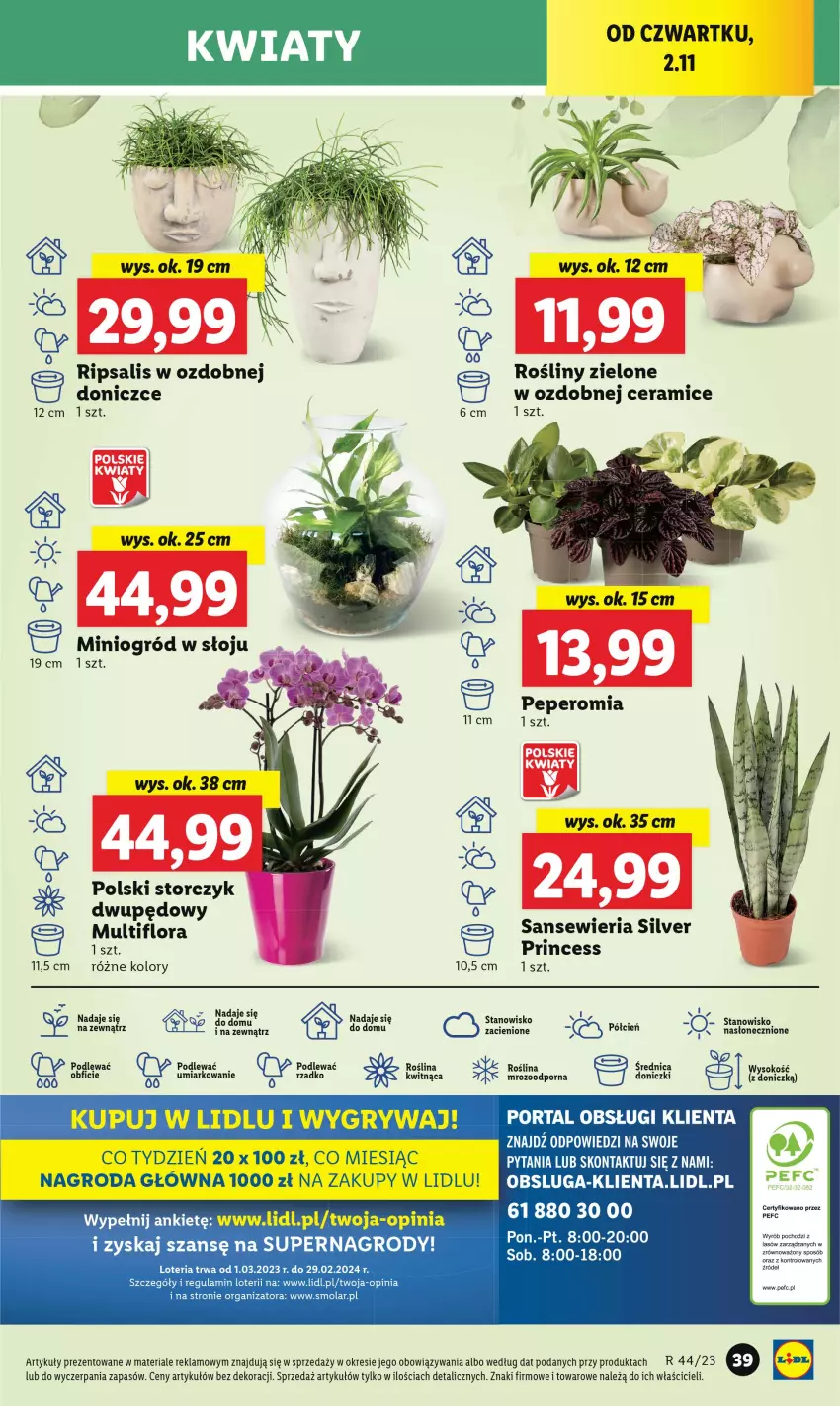 Gazetka promocyjna Lidl - GAZETKA - ważna 02.11 do 04.11.2023 - strona 53 - produkty: Cień, Flora, Gry, Mola, Ogród, Sok, Storczyk