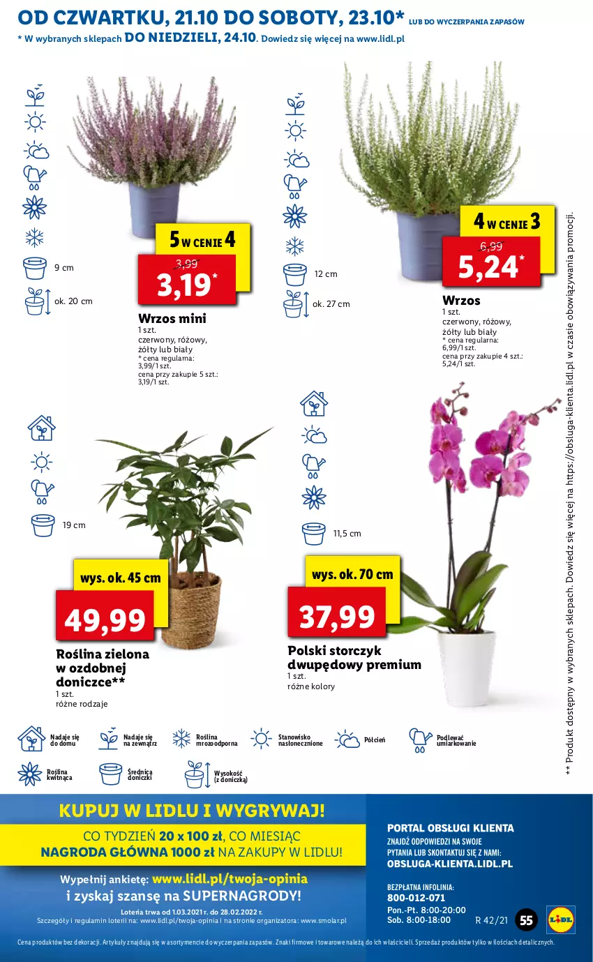 Gazetka promocyjna Lidl - GAZETKA - ważna 21.10 do 24.10.2021 - strona 55 - produkty: Cień, Gry, Mola, O nas, Por, Sok, Storczyk