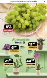 Gazetka promocyjna Netto - Artykuły spożywcze - Gazetka - ważna od 22.07 do 22.07.2023 - strona 5 - produkty: Sępolia, Tera, Storczyk, Wino