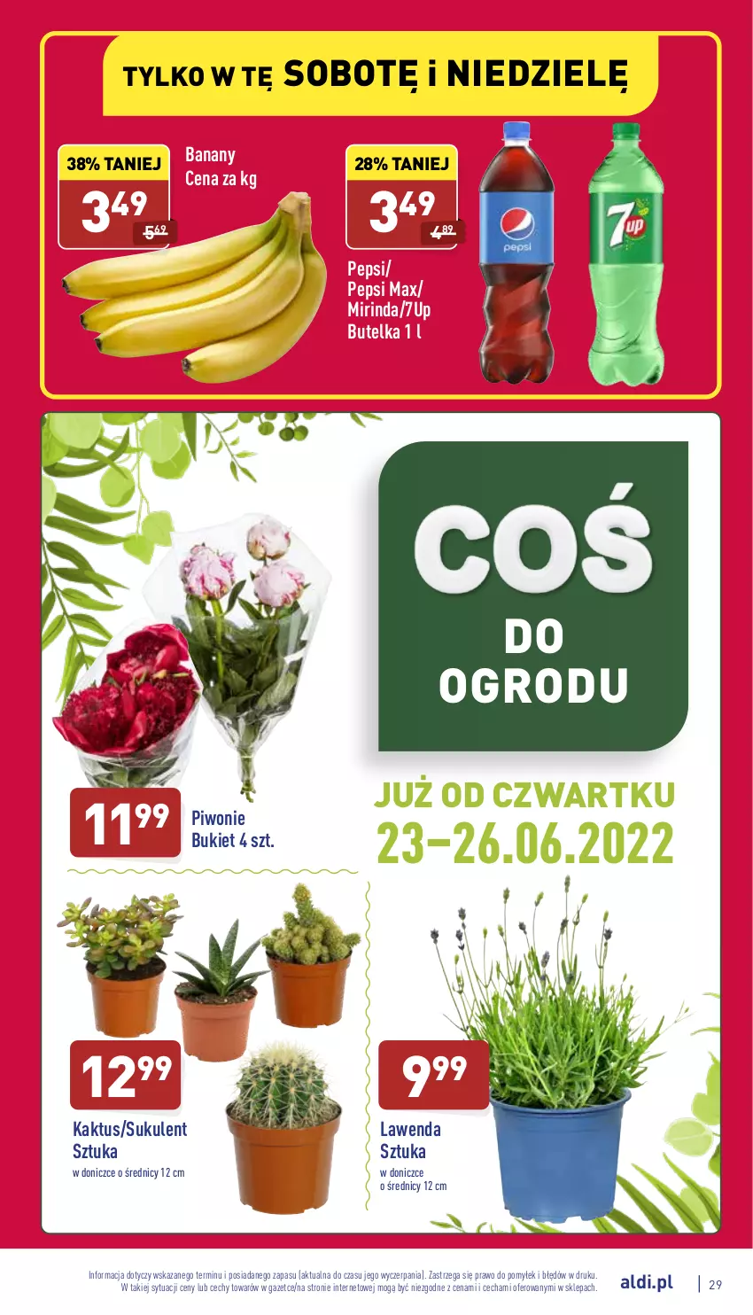 Gazetka promocyjna Aldi - Katalog spożywczy - ważna 20.06 do 26.06.2022 - strona 29 - produkty: 7up, Banany, Bukiet, Kaktus, Mirinda, Pepsi, Pepsi max, Piwo, Sukulent