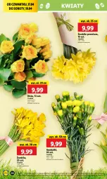 Gazetka promocyjna Lidl - GAZETKA - Gazetka - ważna od 19.04 do 19.04.2025 - strona 30 - produkty: Bukiet