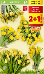Gazetka promocyjna Lidl - GAZETKA - Gazetka - ważna od 19.04 do 19.04.2025 - strona 31 - produkty: Tulipan, Bukiet