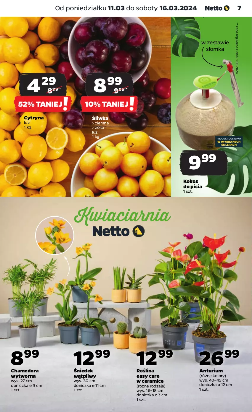 Gazetka promocyjna Netto - Artykuły spożywcze - ważna 11.03 do 16.03.2024 - strona 7 - produkty: Kokos