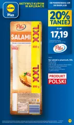 Gazetka promocyjna Lidl - GAZETKA - Gazetka - ważna od 06.09 do 06.09.2023 - strona 19 - produkty: Ser, Salami, Duck, Pilos, Ser salami, Olej, Ocet