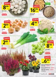 Gazetka promocyjna Intermarche - Gazetka Intermarche - Gazetka - ważna od 12.10 do 12.10.2022 - strona 15 - produkty: Piec, Cebula, Kalafior, Por, Papryka, Brukselka, Pieczarka