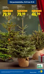 Gazetka promocyjna Lidl - GAZETKA - Gazetka - ważna od 17.12 do 17.12.2025 - strona 31 - produkty: Kask