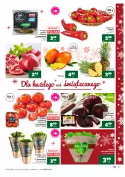 Gazetka promocyjna Carrefour - Gazetka Carrefour - Gazetka - ważna od 19.12 do 19.12.2021 - strona 5 - produkty: Gra, Pietruszka, Kolendra, Zioła w doniczce, Papryka, Granat, Ananas, Sałat, Buraki, Bazyl, Bazylia, Masło, Mango, Pomidory, Mięta