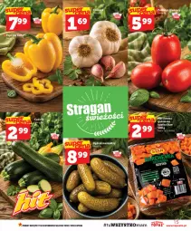Gazetka promocyjna Topaz - Gazetka - Gazetka - ważna od 12.08 do 12.08.2026 - strona 15 - produkty: Top, Ogórek, Czosnek