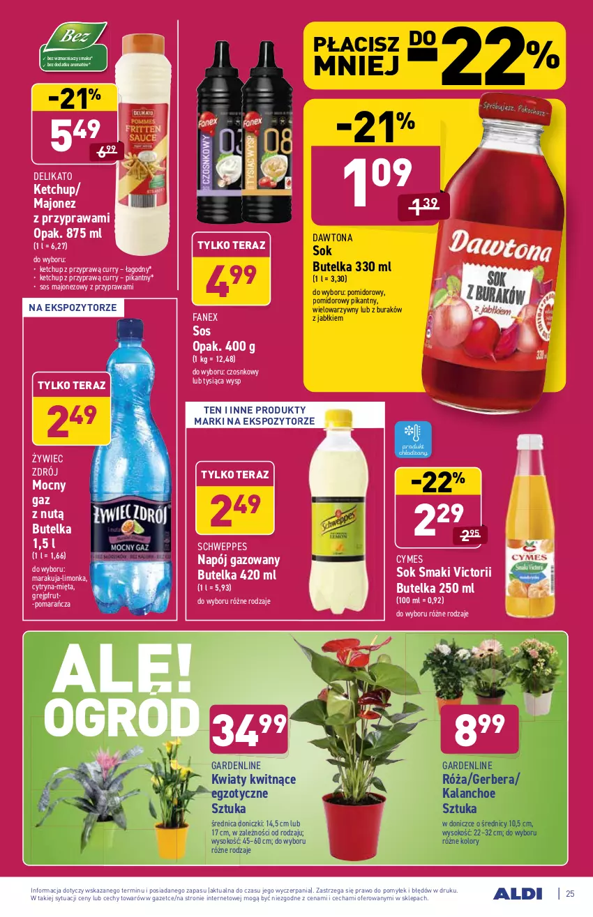 Gazetka promocyjna Aldi - ważna 02.08 do 07.08.2021 - strona 25 - produkty: Dawtona, Fa, Gerber, Grejpfrut, Kalanchoe, Ketchup, Limonka, Majonez, Mięta, Napój, Napój gazowany, Róża, Schweppes, Sok, Sos, Tera