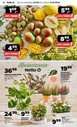 Gazetka promocyjna Netto - Artykuły spożywcze - Gazetka - ważna od 05.10 do 05.10.2024 - strona 8 - produkty: Róża, Kiwi, Kalanchoe, Tera, Wino, Mango, Melon