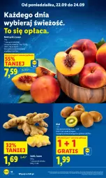 Gazetka promocyjna Lidl - GAZETKA - Gazetka - ważna od 24.09 do 24.09.2025 - strona 20 - produkty: Gra, Kiwi, Nektar, Imbir