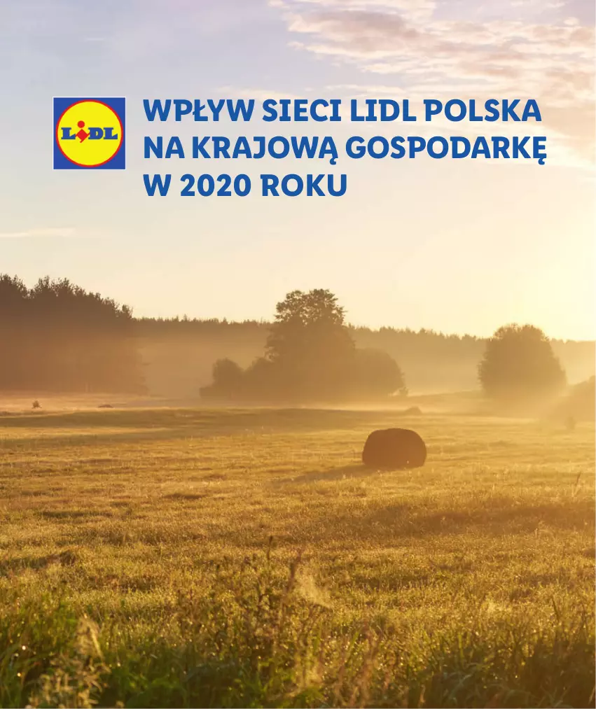 Gazetka promocyjna Lidl - Raport wpływu na gospodarkę - ważna 01.10.2021 do 31.12.2030 - strona 1