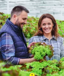 Gazetka promocyjna Lidl - Raport wpływu na gospodarkę - Gazetka - ważna od 31.12 do 31.12.2030 - strona 15 - produkty: Por, Gra, Rama, Kosz, Sport, Rolnik, Dzieci