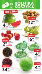 Gazetka promocyjna Intermarche - Gazetka Intermarche - Gazetka - ważna od 17.04 do 17.04.2024 - strona 16 - produkty: Roszponka, Sałata lodowa, Rukola, Kosz, Kiwi, Sałat, Arbuz, Szpinak