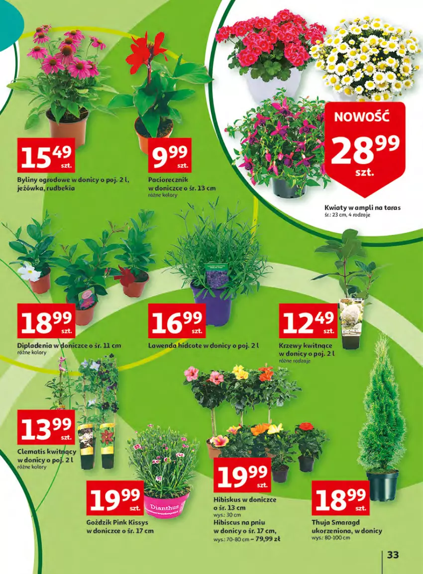 Gazetka promocyjna Auchan - Udane grillowanie jest w cenie Hipermarkety - ważna 19.05 do 28.05.2022 - strona 33 - produkty: Hibiskus