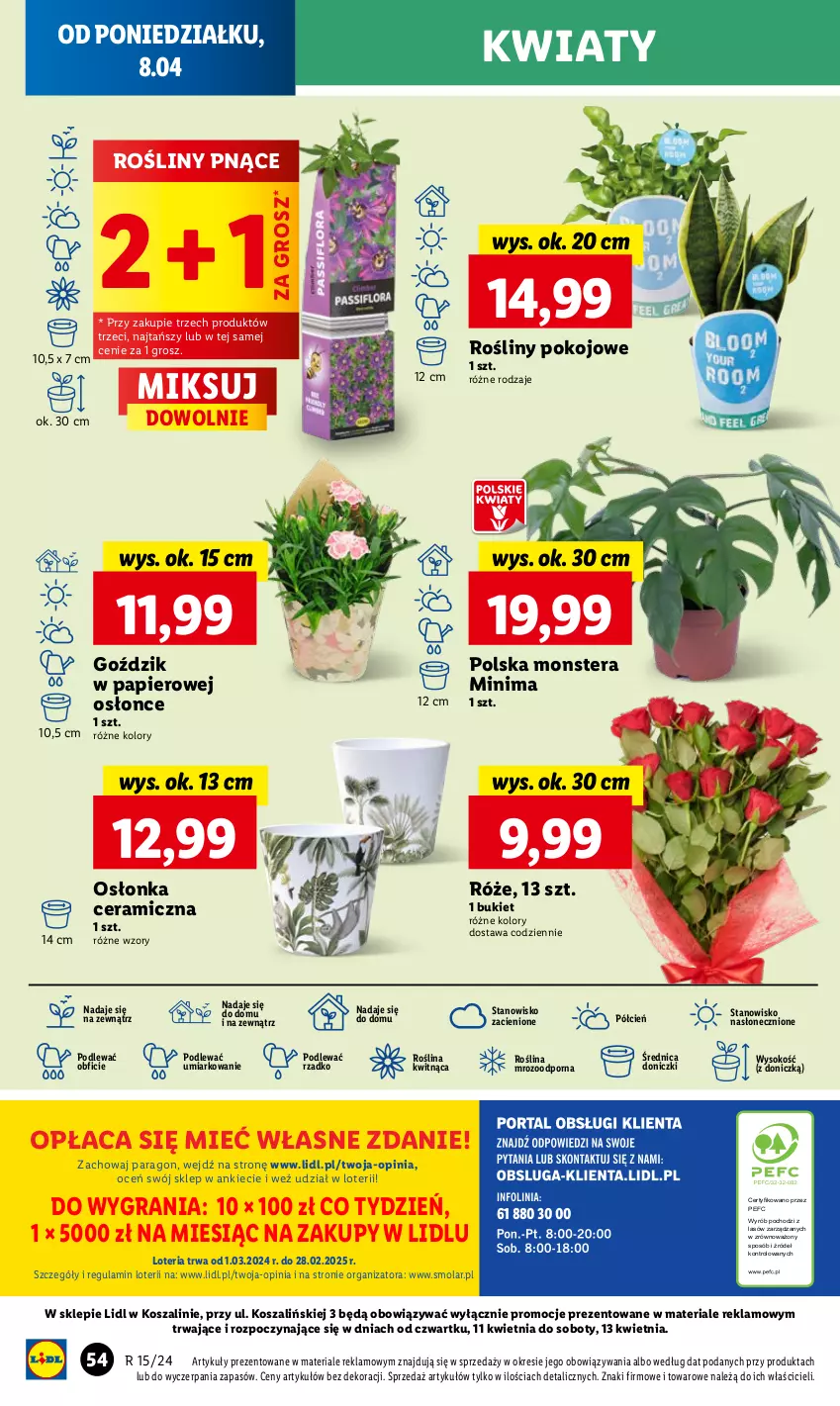 Gazetka promocyjna Lidl - GAZETKA - ważna 08.04 do 10.04.2024 - strona 56 - produkty: Bukiet, Cień, Gra, Kosz, Mola, O nas, Osłonka, Papier, Por, Sok, Szal, Tera