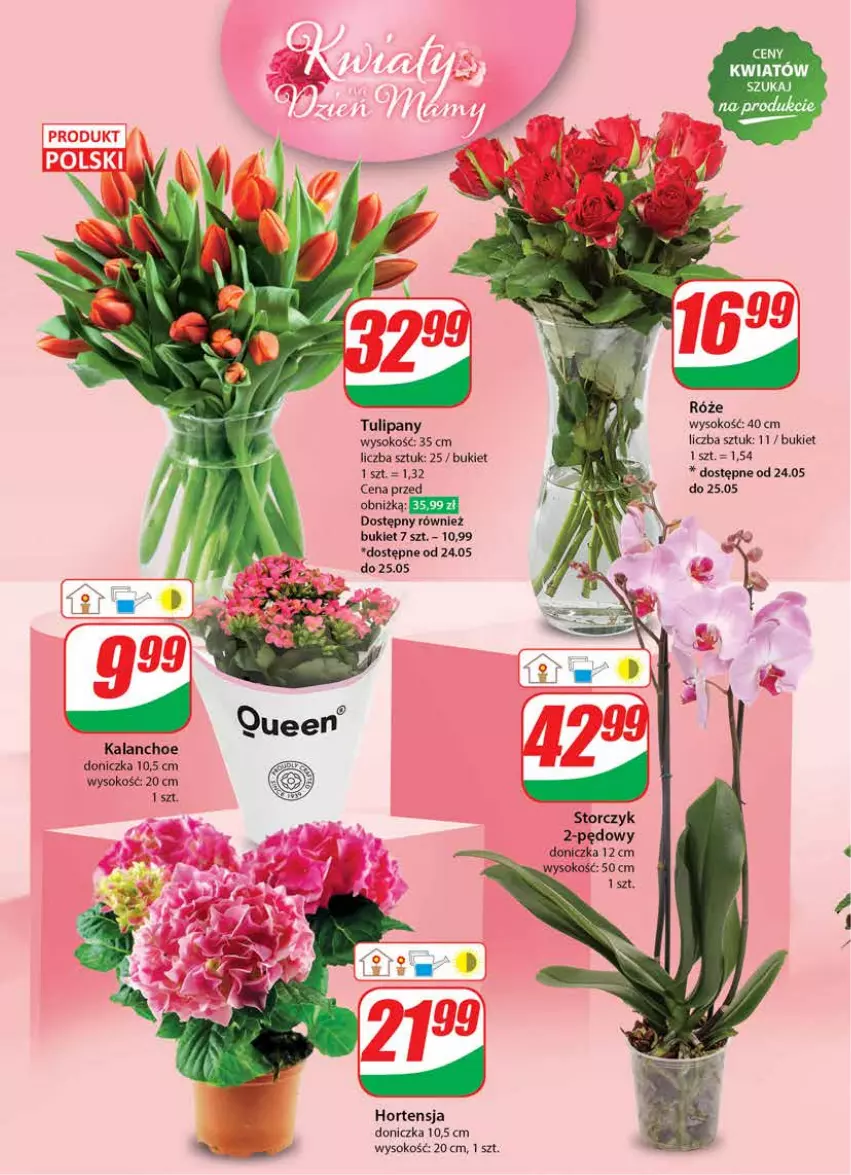 Gazetka promocyjna Dino - Gazetka 21 / 2024 - ważna 22.05 do 28.05.2024 - strona 46 - produkty: Bukiet, Kalanchoe, Sok, Storczyk, Tulipan