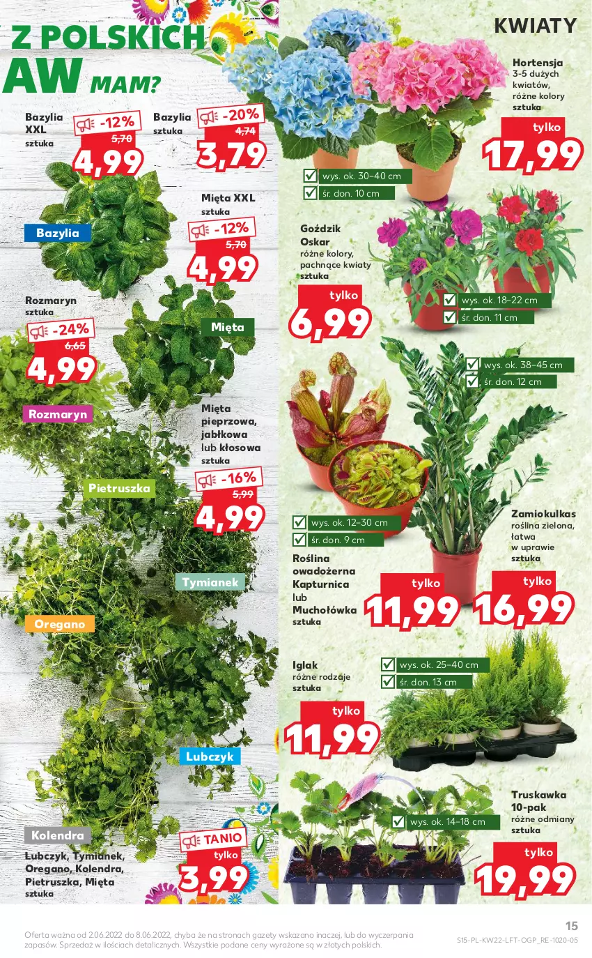 Gazetka promocyjna Kaufland - OFERTA TYGODNIA - ważna 02.06 do 08.06.2022 - strona 15 - produkty: Bazyl, Bazylia, Kolendra, Mięta, Pieprz, Pietruszka