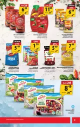 Gazetka promocyjna Arhelan - Gazetka - Gazetka - ważna od 01.06 do 01.06.2025 - strona 9 - produkty: Ketchup, Dawtona, Ser, Por, Gin, Zupa, Dżem, Galaretka, Kotlin, Delecta, Gala, Nektar, Hortex, Fa