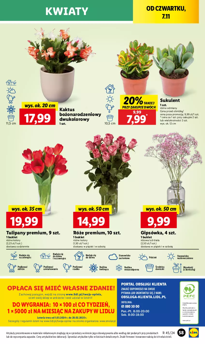 Gazetka promocyjna Lidl - GAZETKA - ważna 07.11 do 09.11.2024 - strona 61 - produkty: Bukiet, Cień, Gra, Kaktus, Mola, O nas, Por, Sok, Sukulent, Tulipan