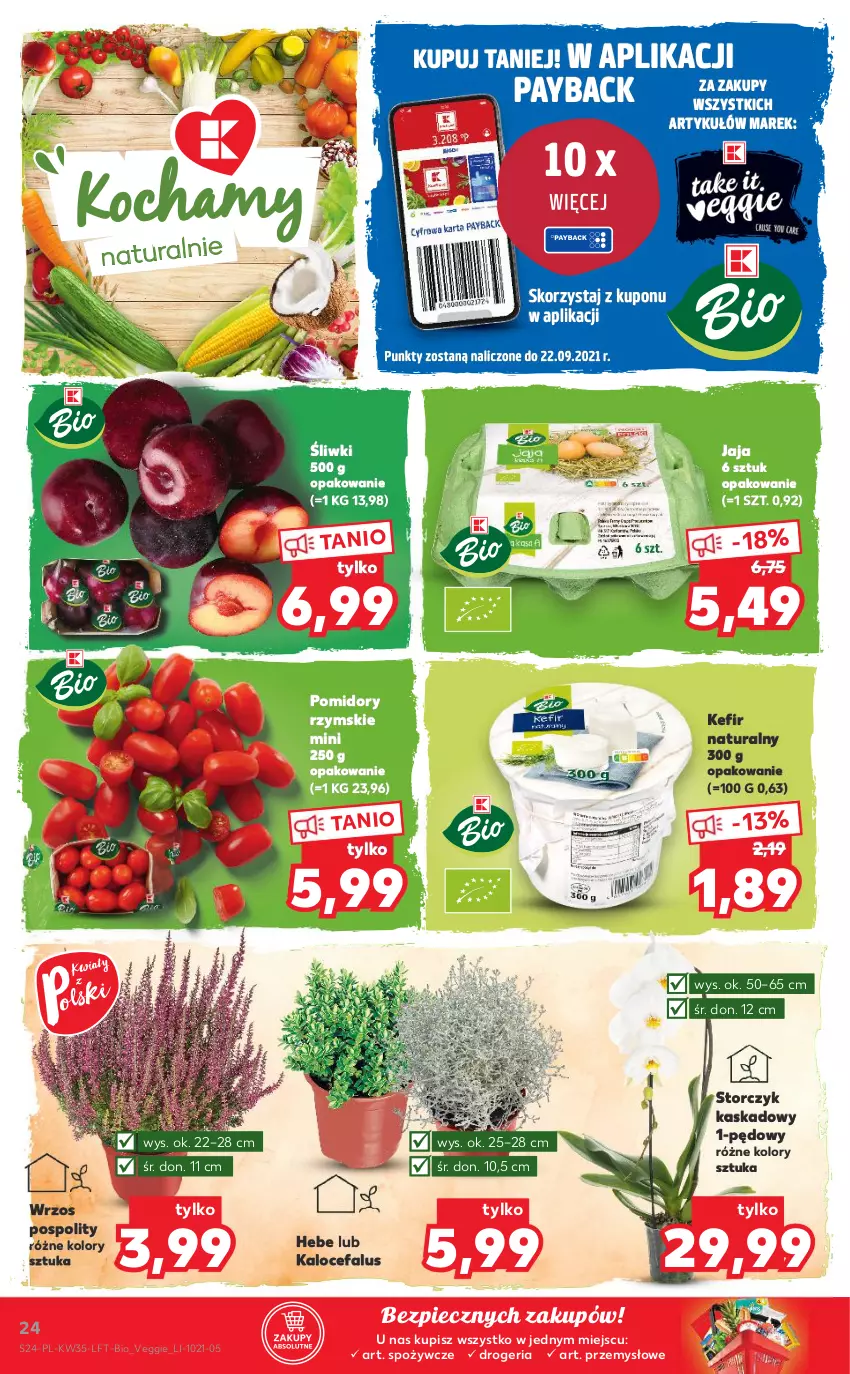 Gazetka promocyjna Kaufland - OFERTA TYGODNIA - ważna 02.09 do 08.09.2021 - strona 24 - produkty: Fa, Jaja, Kask, Kefir, Kefir naturalny, Piec, Pomidory, Storczyk