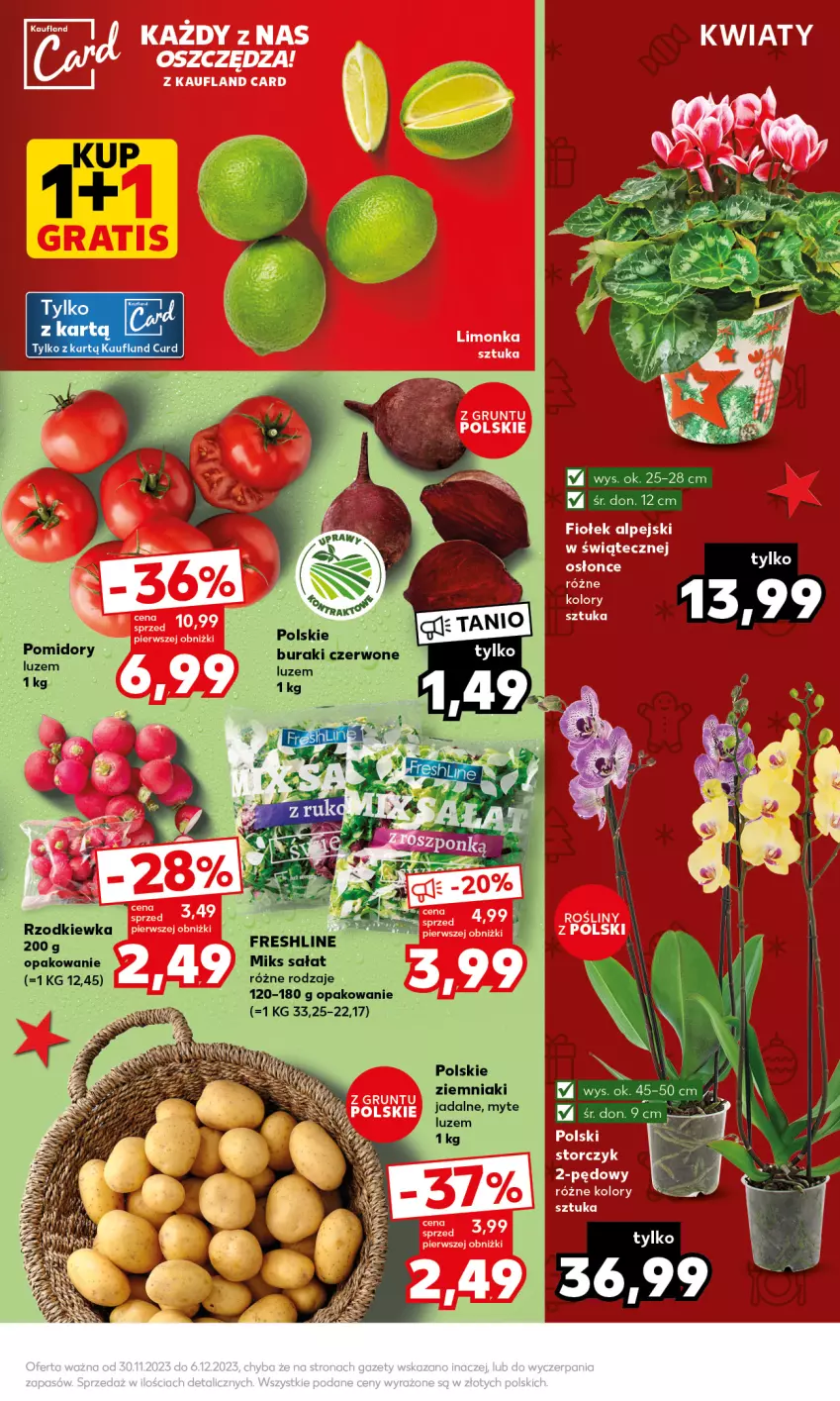 Gazetka promocyjna Kaufland - Mocny Start - ważna 04.12 do 06.12.2023 - strona 7 - produkty: Buraki, Grunt, Limonka, Pomidory, Rzodkiewka, Sałat, Storczyk, Ziemniaki