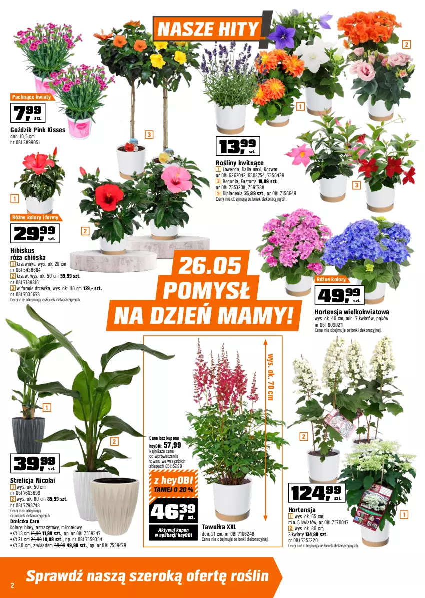 Gazetka promocyjna Obi - Gazetka OBI - ważna 20.05 do 01.06.2026 - strona 2 - produkty: Drzwi, Grill, Grill gazowy, Hibiskus, Inka, Lack, Ogród, Pojemnik, Róża, Stolik, Termometr
