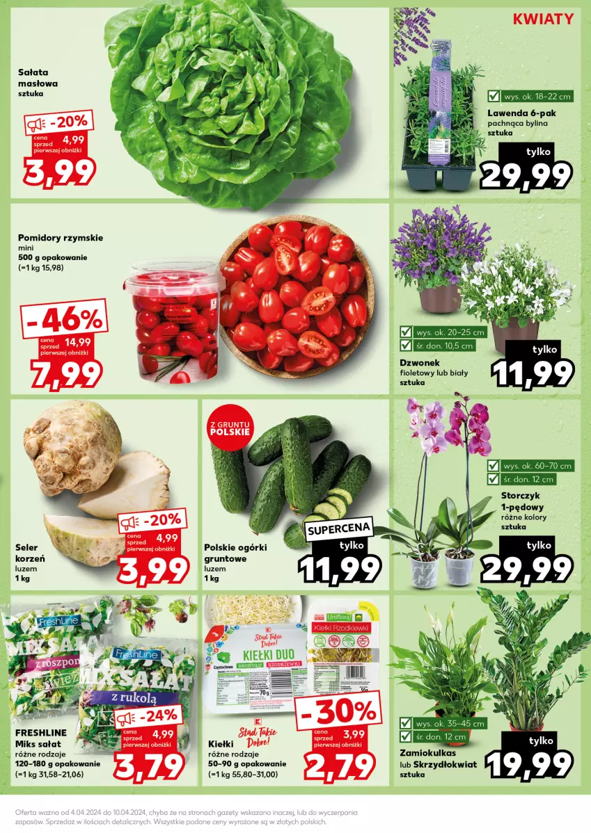 Gazetka promocyjna Kaufland - Kaufland - ważna 08.04 do 10.04.2024 - strona 11 - produkty: Dzwonek, Fa, Grunt, Kiełki, Masło, Pomidory, Sałat, Sałata masłowa, Storczyk