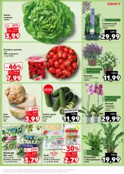 Gazetka promocyjna Kaufland - Kaufland - Gazetka - ważna od 10.04 do 10.04.2024 - strona 11 - produkty: Sałata masłowa, Dzwonek, Sałat, Kiełki, Storczyk, Grunt, Masło, Pomidory, Fa