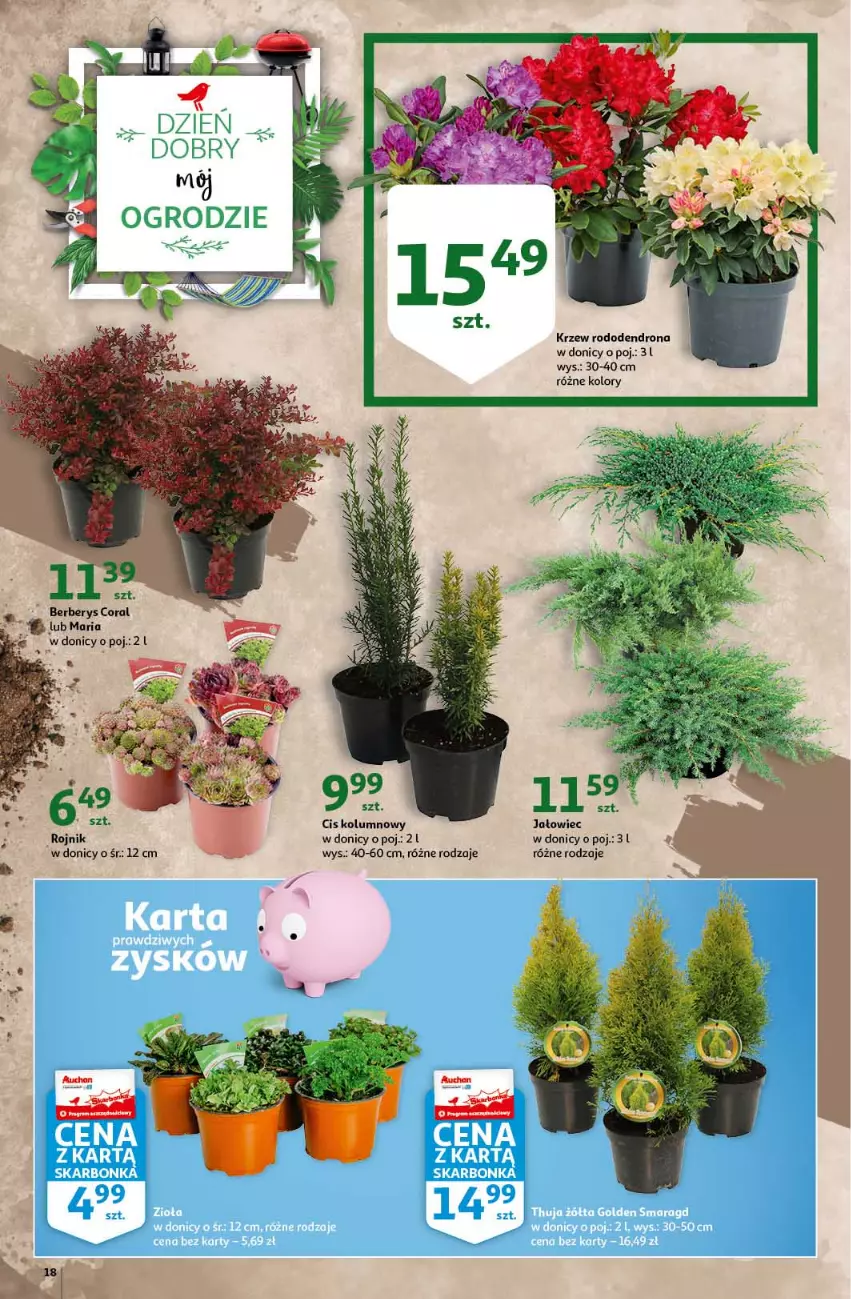 Gazetka promocyjna Auchan - Królestwo majsterkowicza Hipermarkety - ważna 08.04 do 14.04.2021 - strona 18 - produkty: Dron