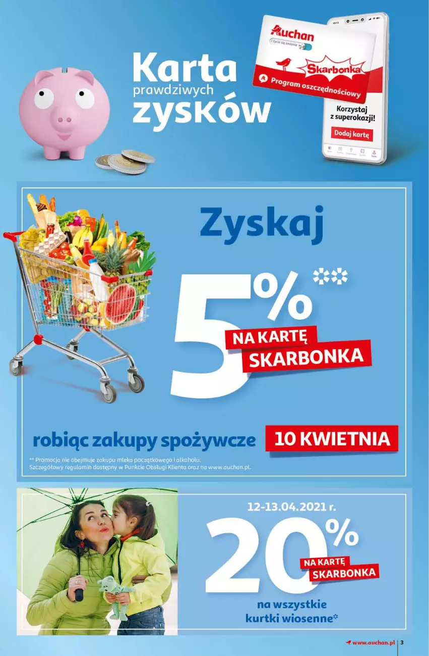 Gazetka promocyjna Auchan - Królestwo majsterkowicza Hipermarkety - ważna 08.04 do 14.04.2021 - strona 3