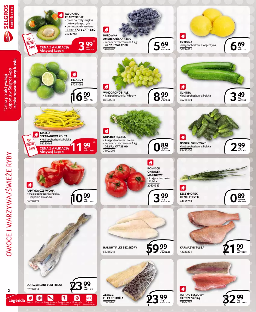 Gazetka promocyjna Selgros - Extra Oferta - ważna 01.07 do 31.07.2021 - strona 2 - produkty: Borówka, Borówka amerykańska, Dorsz, Fa, Fasola, Fasola szparagowa, Grill, Grunt, Halibut, Karmazyn tusza, Koperek pęczek, LG, Limonka, Owoce, Papryka, Papryka czerwona, Pstrąg, Pstrąg tęczowy, Sok, Tusz, Warzywa, Wino