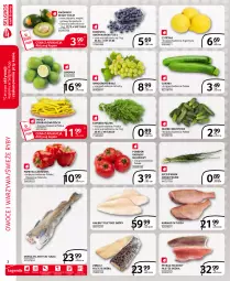 Gazetka promocyjna Selgros - Extra Oferta - Gazetka - ważna od 31.07 do 31.07.2021 - strona 2 - produkty: Karmazyn tusza, Halibut, Warzywa, Sok, Borówka, Borówka amerykańska, Pstrąg tęczowy, Papryka czerwona, Papryka, Tusz, Fasola, Koperek pęczek, Fasola szparagowa, Limonka, Pstrąg, Owoce, Dorsz, Wino, Grunt, Grill, LG, Fa