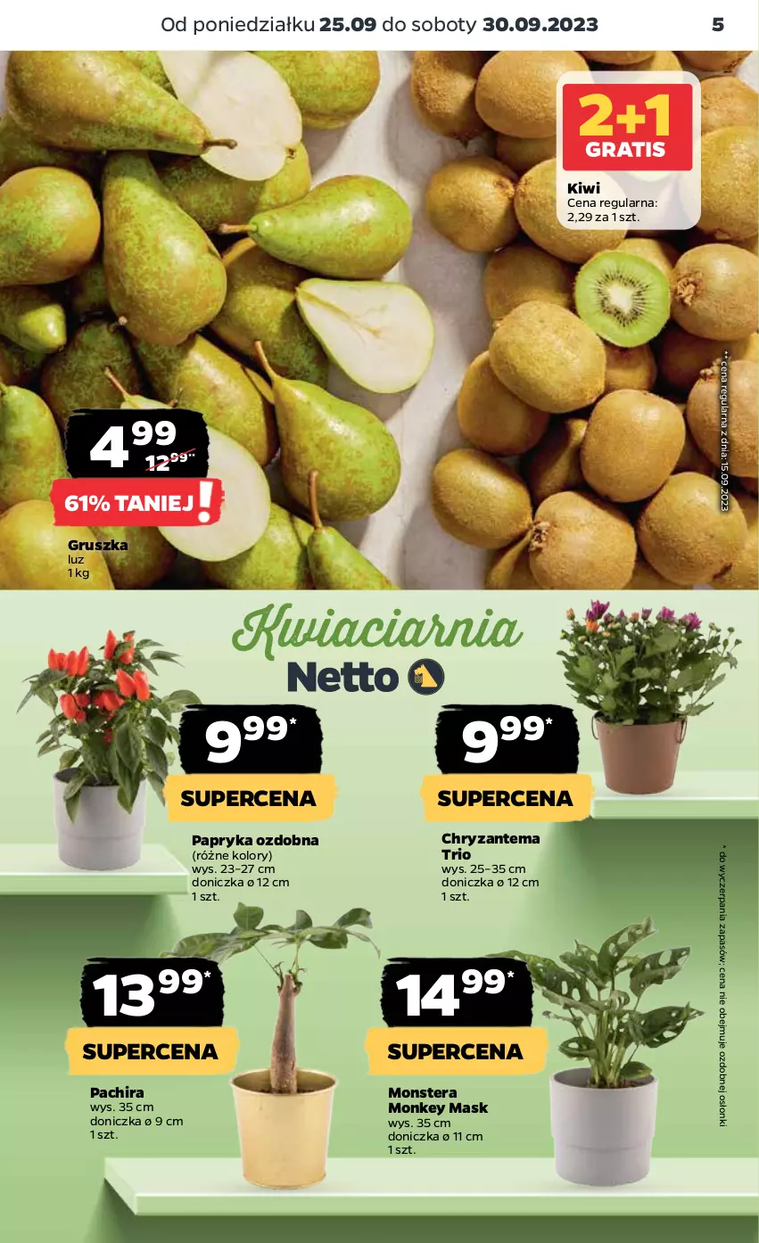 Gazetka promocyjna Netto - Artykuły spożywcze - ważna 25.09 do 01.10.2023 - strona 5 - produkty: Chryzantema, Kiwi, Papryka, Tera