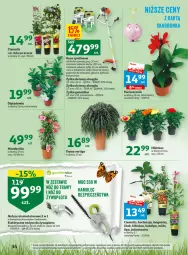 Gazetka promocyjna Auchan - Gazetka Wielkie majowe odkrycia cenowe część #4 Hipermarket Auchan - Gazetka - ważna od 27.05 do 27.05.2023 - strona 34 - produkty: Piec, Noż, Hibiskus, Rura, Róża, Nożyce, O nas, Pojemnik, Warka, Tarcza tnąca, Akumulator