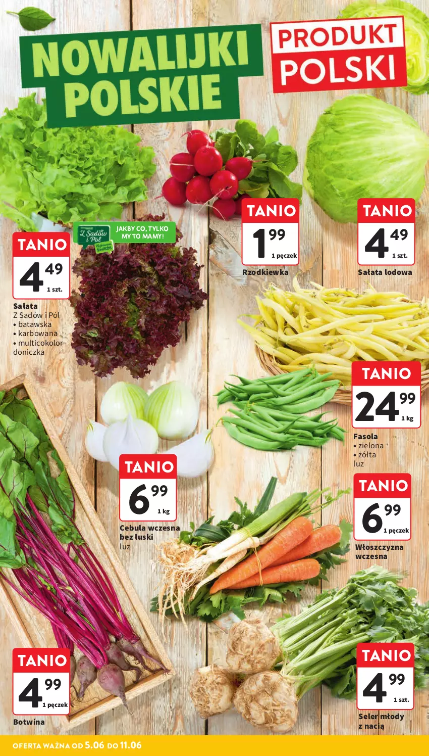 Gazetka promocyjna Intermarche - Gazetka Intermarche - ważna 05.06 do 11.06.2025 - strona 14 - produkty: Cebula, Fa, Fasola, Rzodkiewka, Sałat, Sałata lodowa