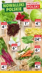 Gazetka promocyjna Intermarche - Gazetka Intermarche - Gazetka - ważna od 11.06 do 11.06.2025 - strona 14 - produkty: Cebula, Sałata lodowa, Sałat, Fasola, Rzodkiewka, Fa