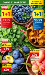 Gazetka promocyjna Lidl - GAZETKA - Gazetka - ważna od 16.08 do 16.08.2025 - strona 21 - produkty: Warzywa, Gra, Brzoskwinie, Owoce, Mięta