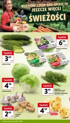 Gazetka promocyjna Intermarche - Gazetka Intermarche - Gazetka - ważna od 27.11 do 27.11.2024 - strona 10 - produkty: Lunch box, Sałata lodowa, Ogórek, Czosnek, Sałat, Natka pietruszki, Imbir