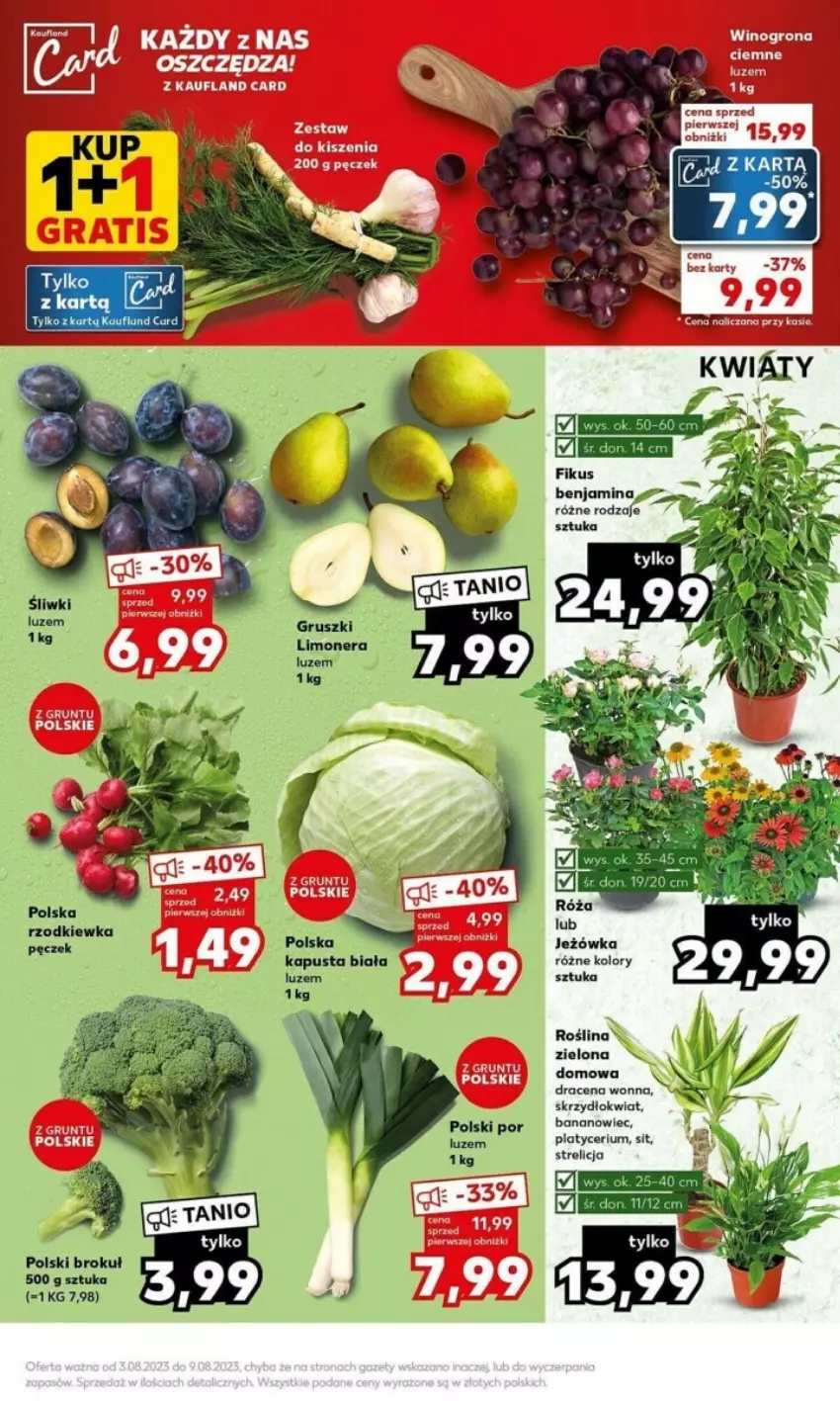 Gazetka promocyjna Kaufland - ważna 07.08 do 09.08.2023 - strona 20 - produkty: Gruszki, LG, Róża, Rzodkiewka, Wino, Winogrona