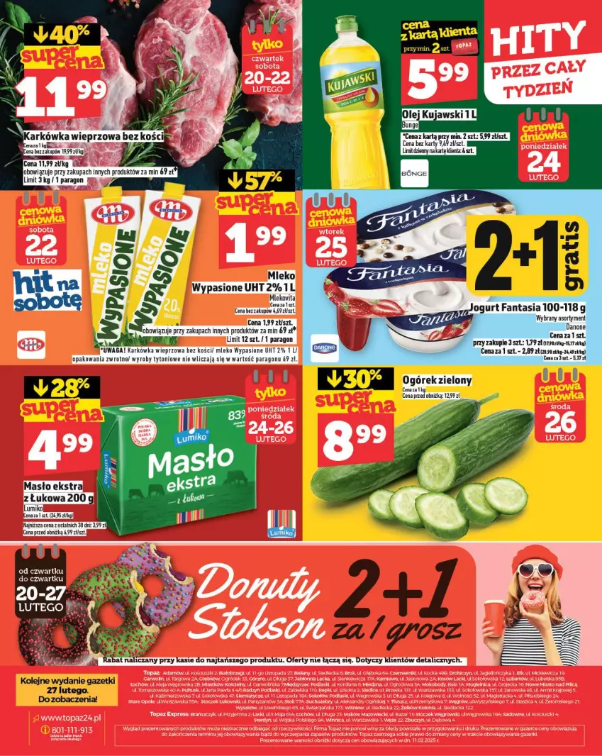 Gazetka promocyjna Topaz - Gazetka - ważna 20.02 do 26.02.2025 - strona 28 - produkty: Body, Danone, Fa, Fanta, KOBO, Kujawski, Lack, Ogród, Olej, Podlaski, Ser, Sok, Sokołów, Top