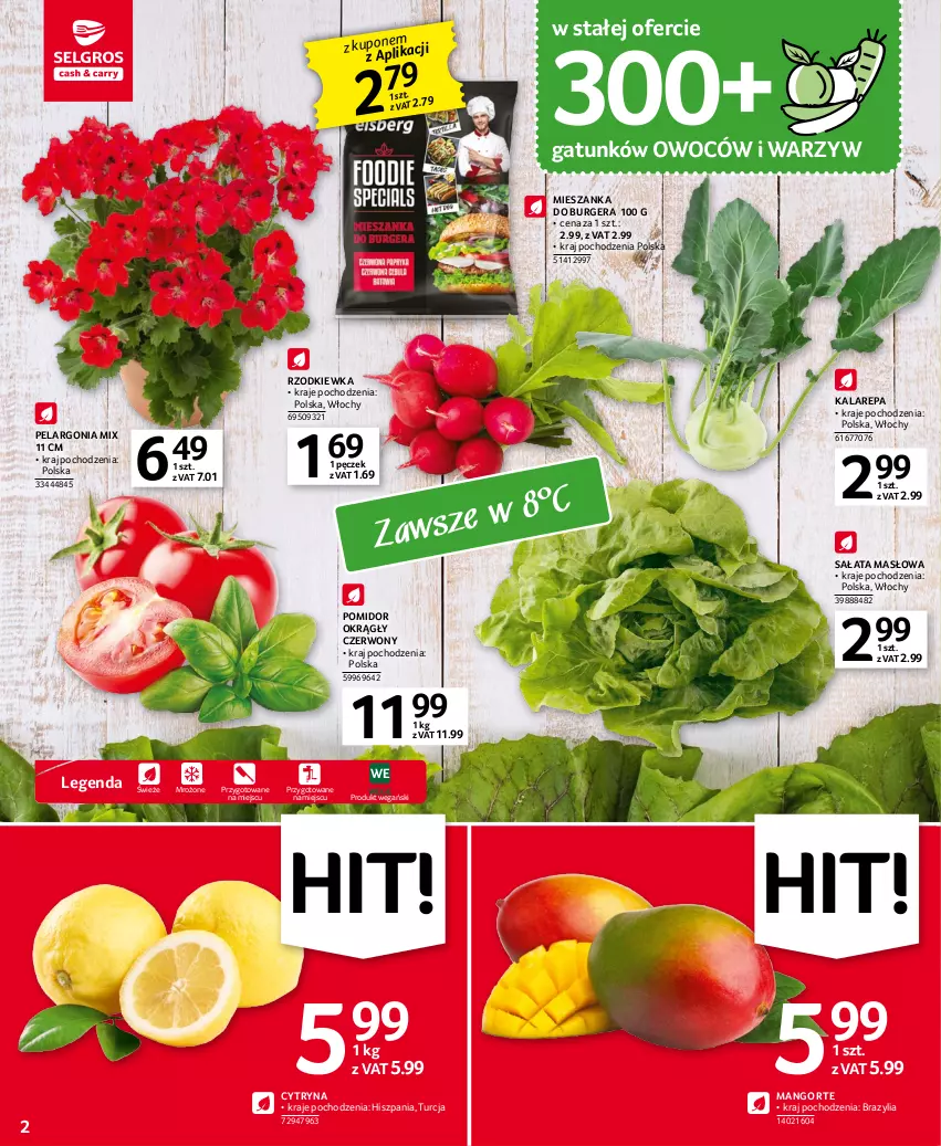 Gazetka promocyjna Selgros - Oferta spożywcza - ważna 11.04 do 19.04.2023 - strona 2 - produkty: Burger, Mango, Masło, Rzodkiewka, Sałat, Sałata masłowa