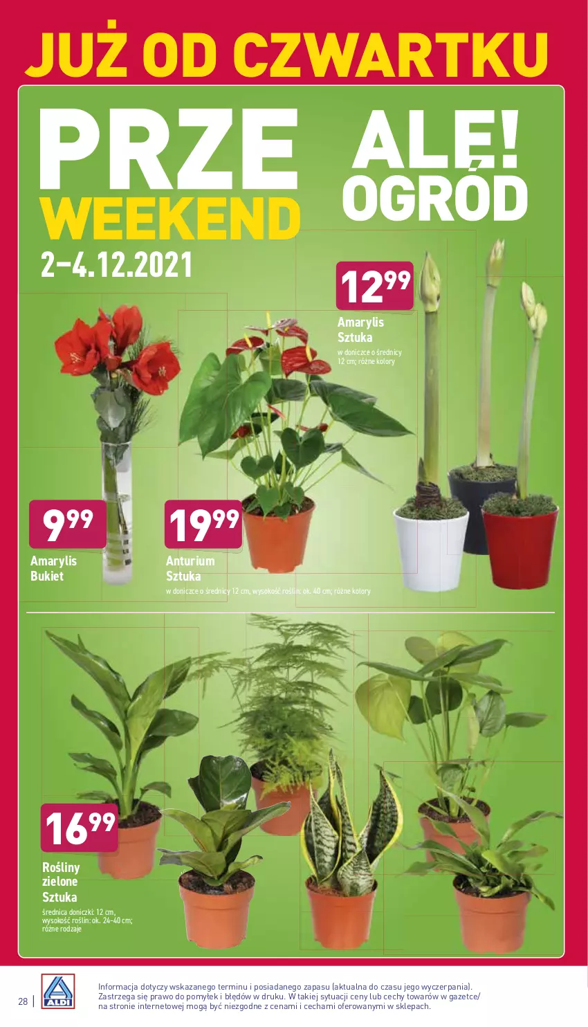 Gazetka promocyjna Aldi - Katalog spożywczy - ważna 29.11 do 04.12.2021 - strona 28 - produkty: Amarylis, Bukiet, Sok